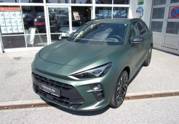 Cupra Terramar 8.099 km 47.990 &euro; Gornau 09405