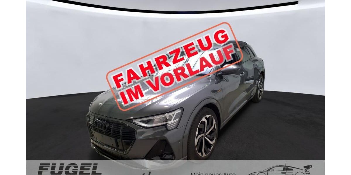 Audi e-tron 67.790 km 27.999 &euro; Chemnitz - Mittelbach 09224