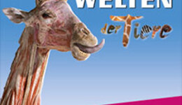 KÖRPERWELTEN der Tiere - Flex-/Geschenkticket