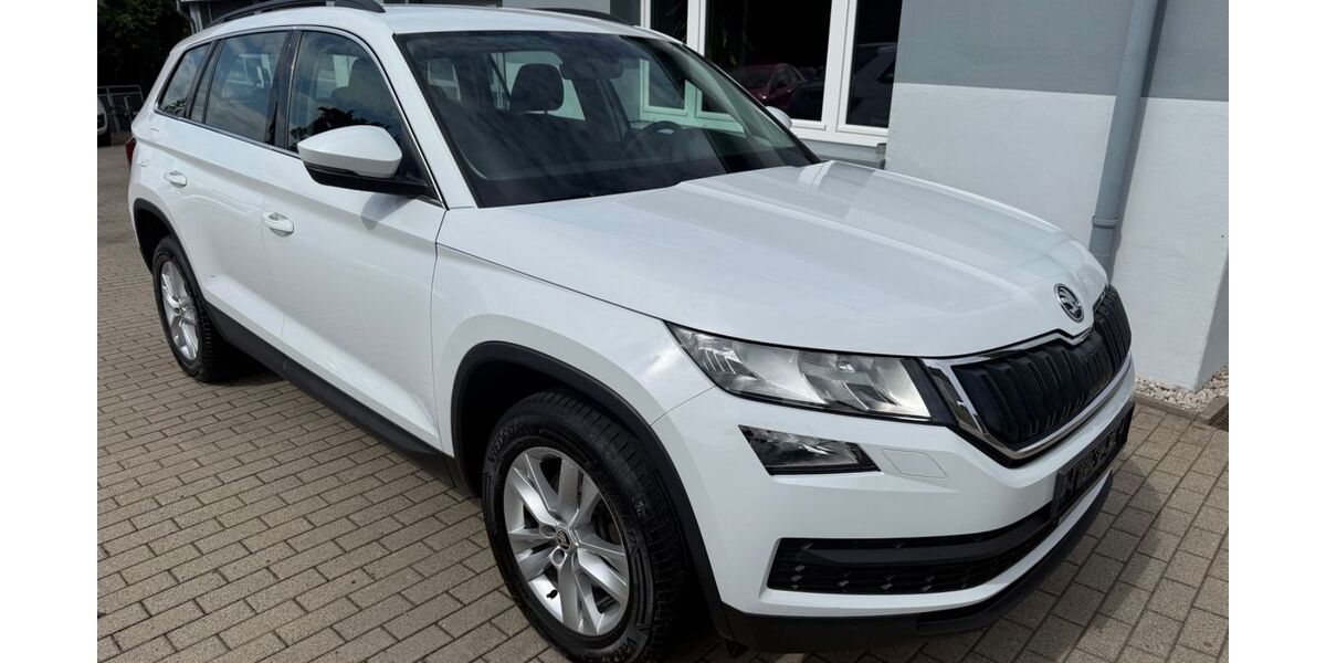 Skoda Kodiaq 140.000 km 17.990 &euro; Chemnitz OT Mittelbach 09224